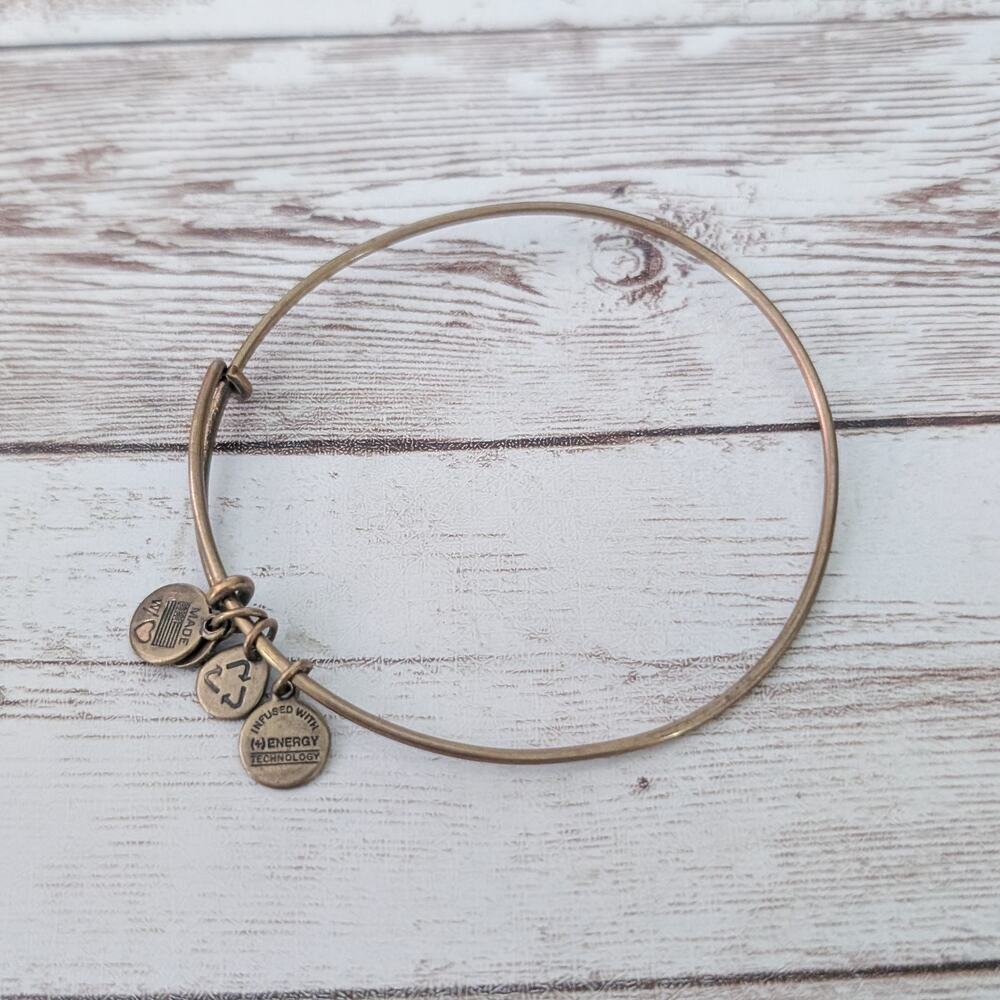 Alex & Ani / Alex and Ani Bracelet